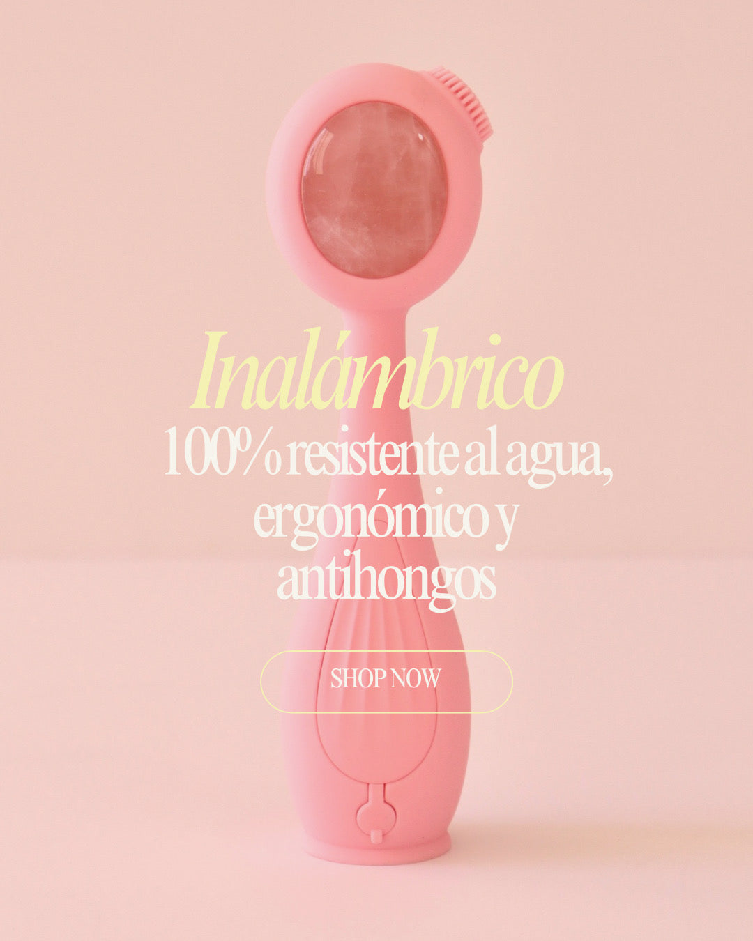 Cepillo Facial Pro