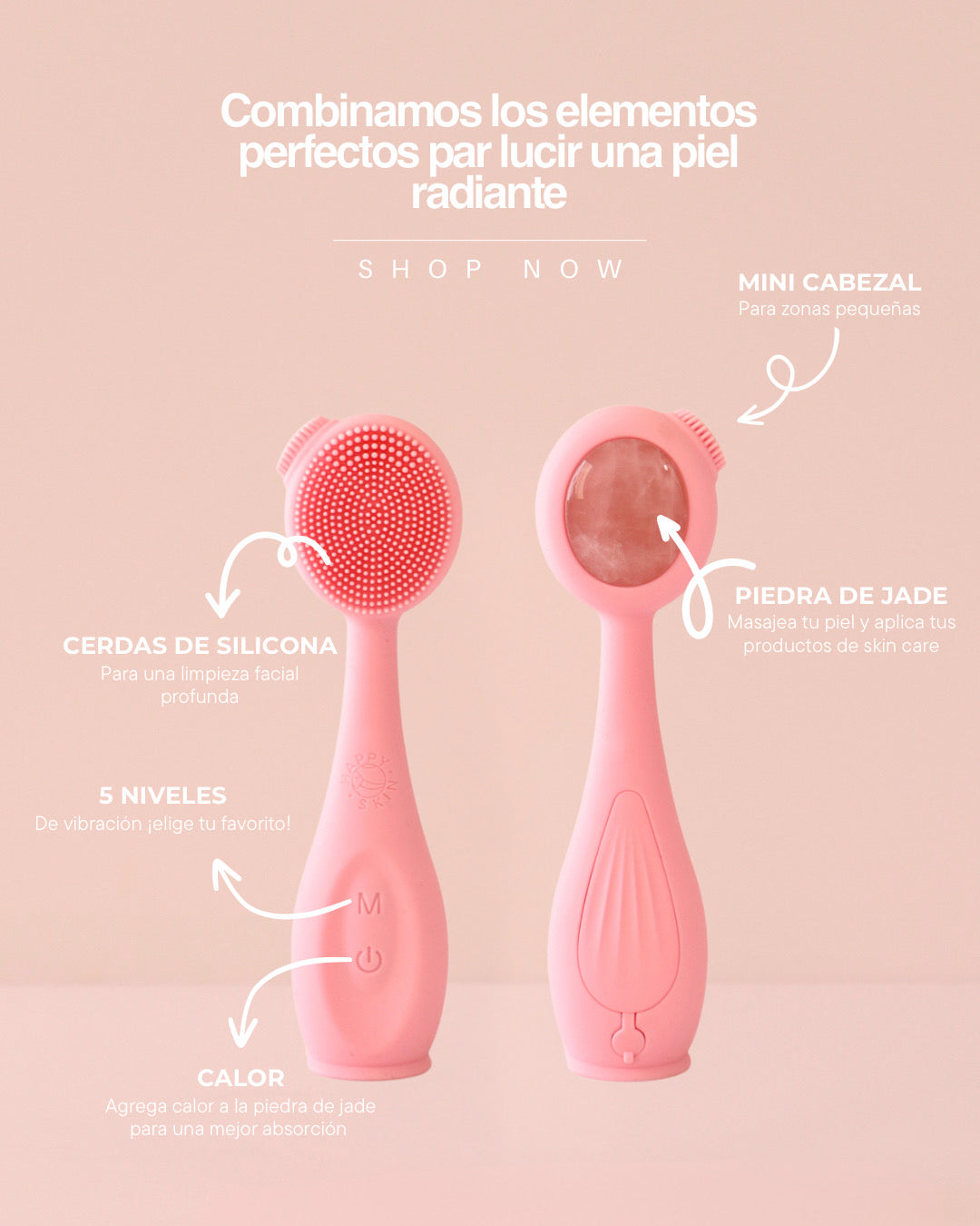 Cepillo Facial Pro